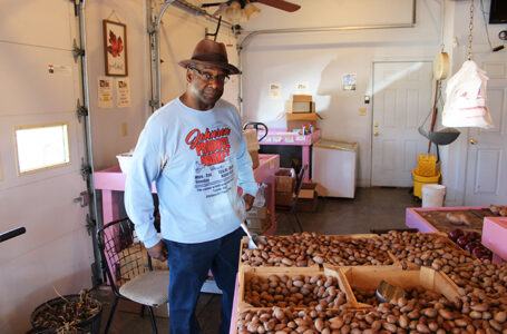 The Legacy of Johnson Produce Market: A True Pillar of the Community